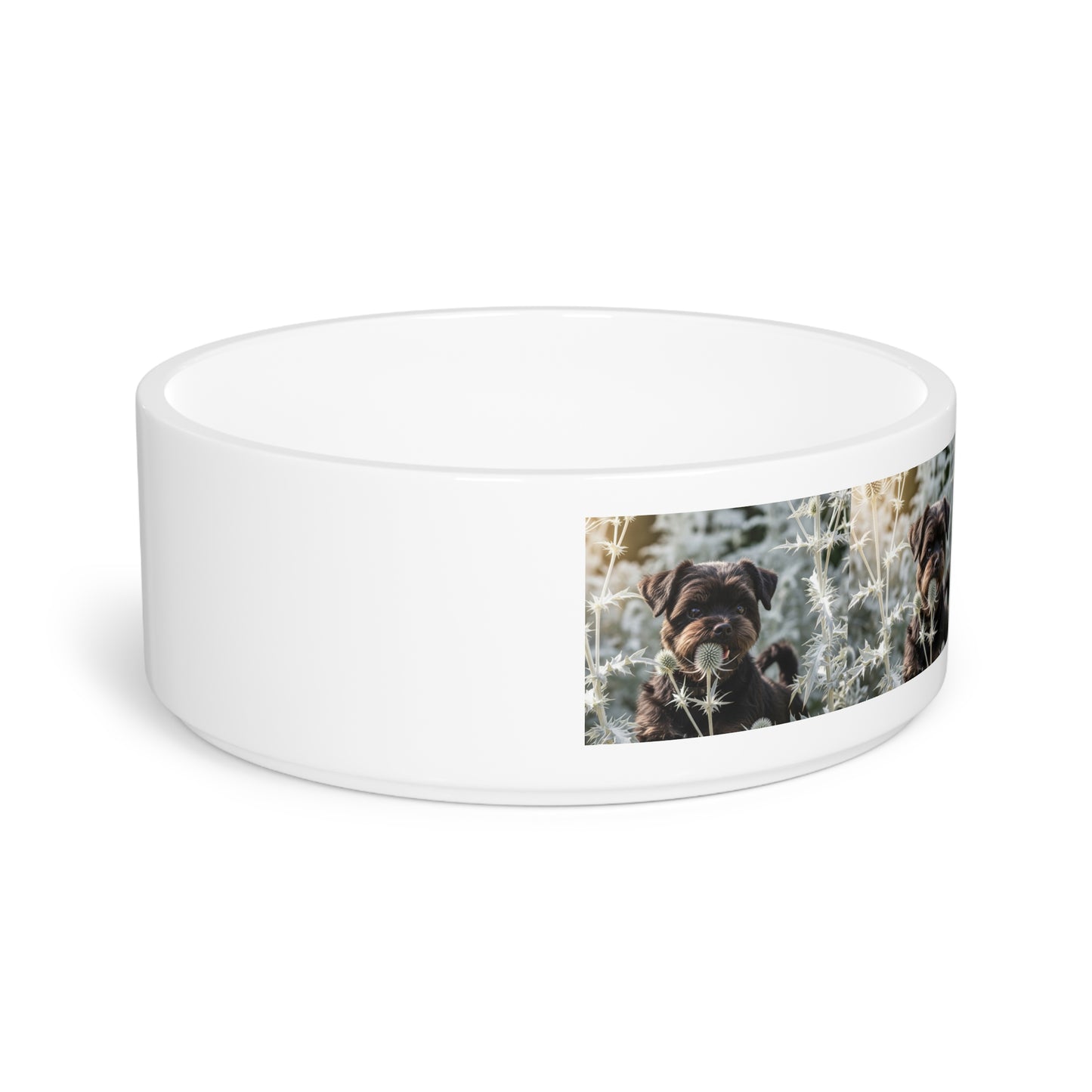 Affenpinscher Pet Bowl
