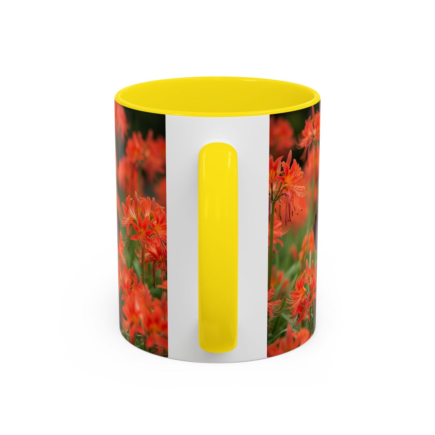 Dachshund Accent Coffee Mug - Perfect Gift for Dog Lovers