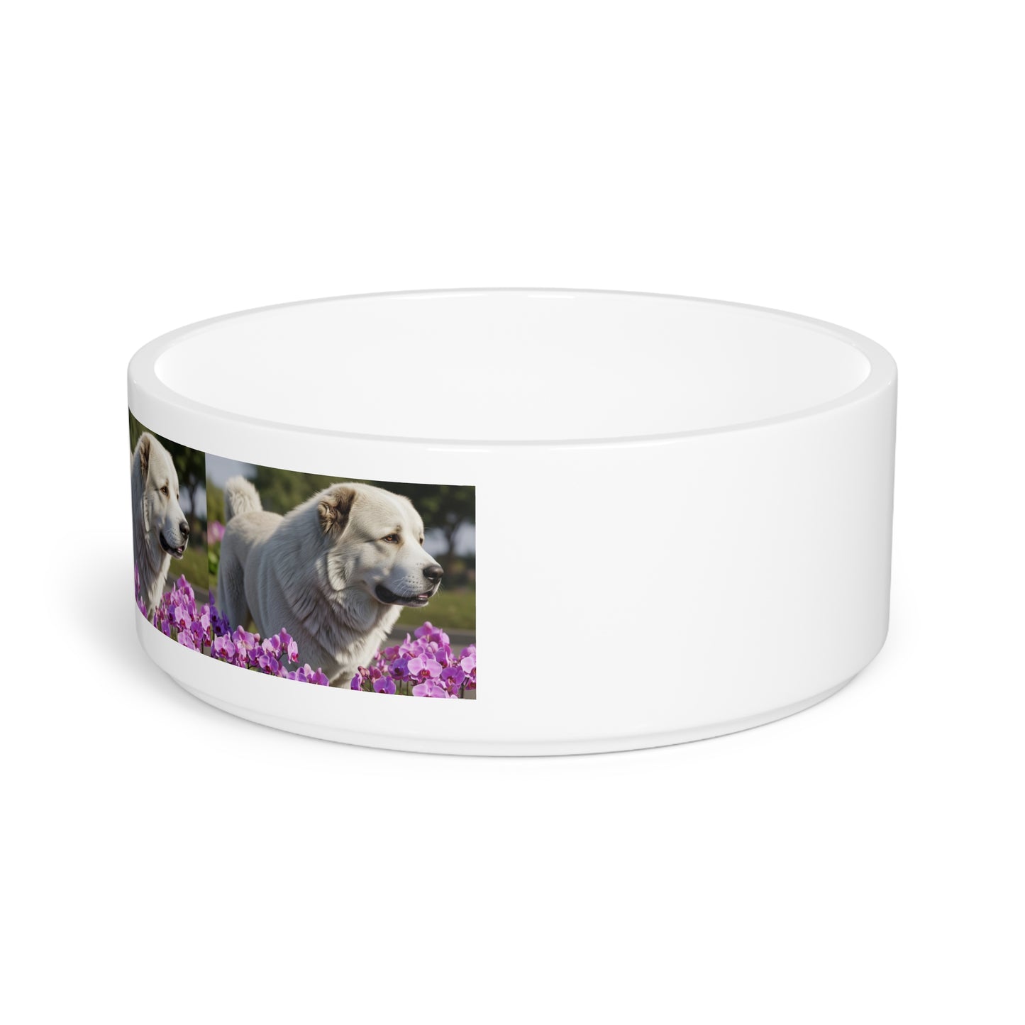Caucasian Shepherd Dog Pet Bowl