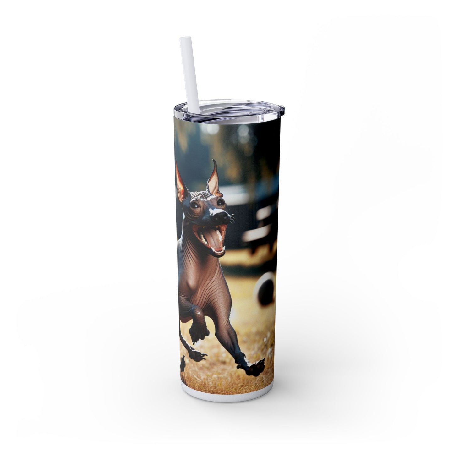 American Hairless Terrier Tumbler with Straw, 20oz