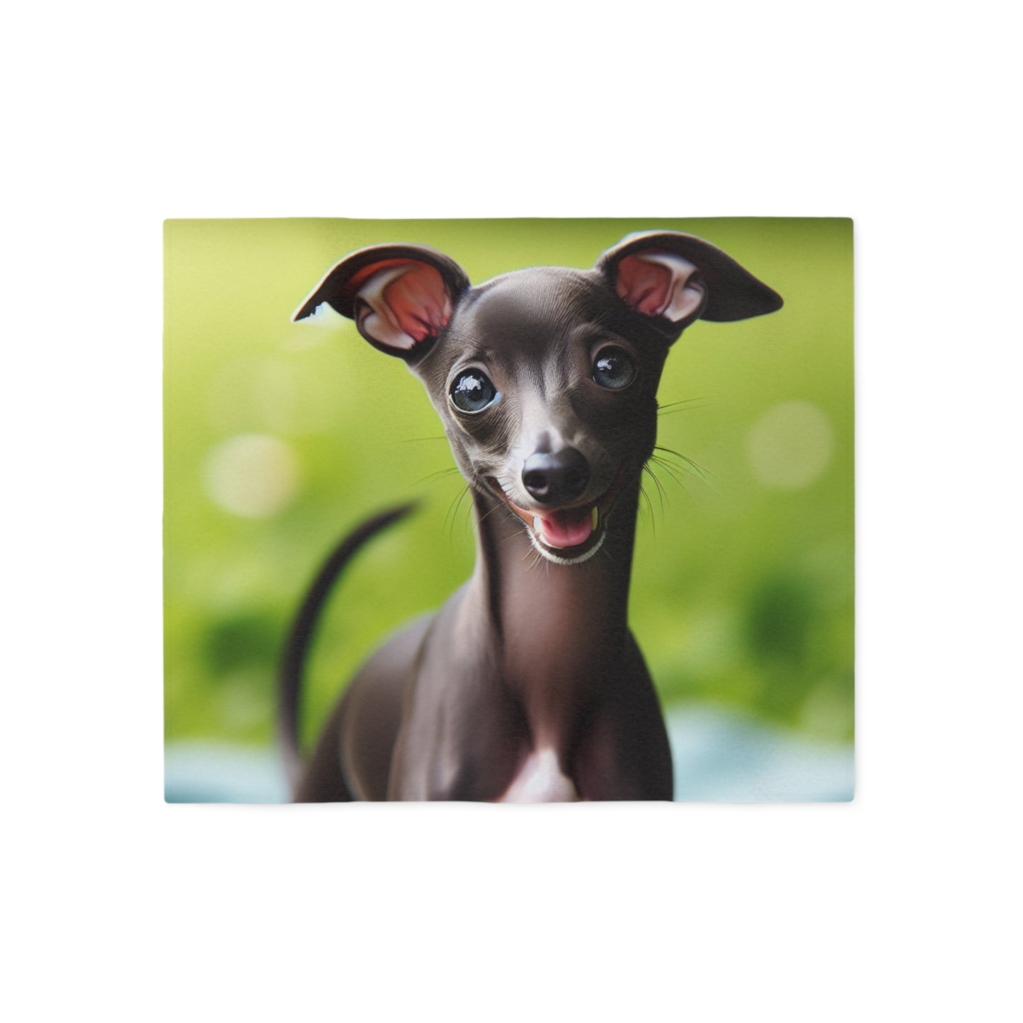 Italian Greyhound Sweatshirt Blanket