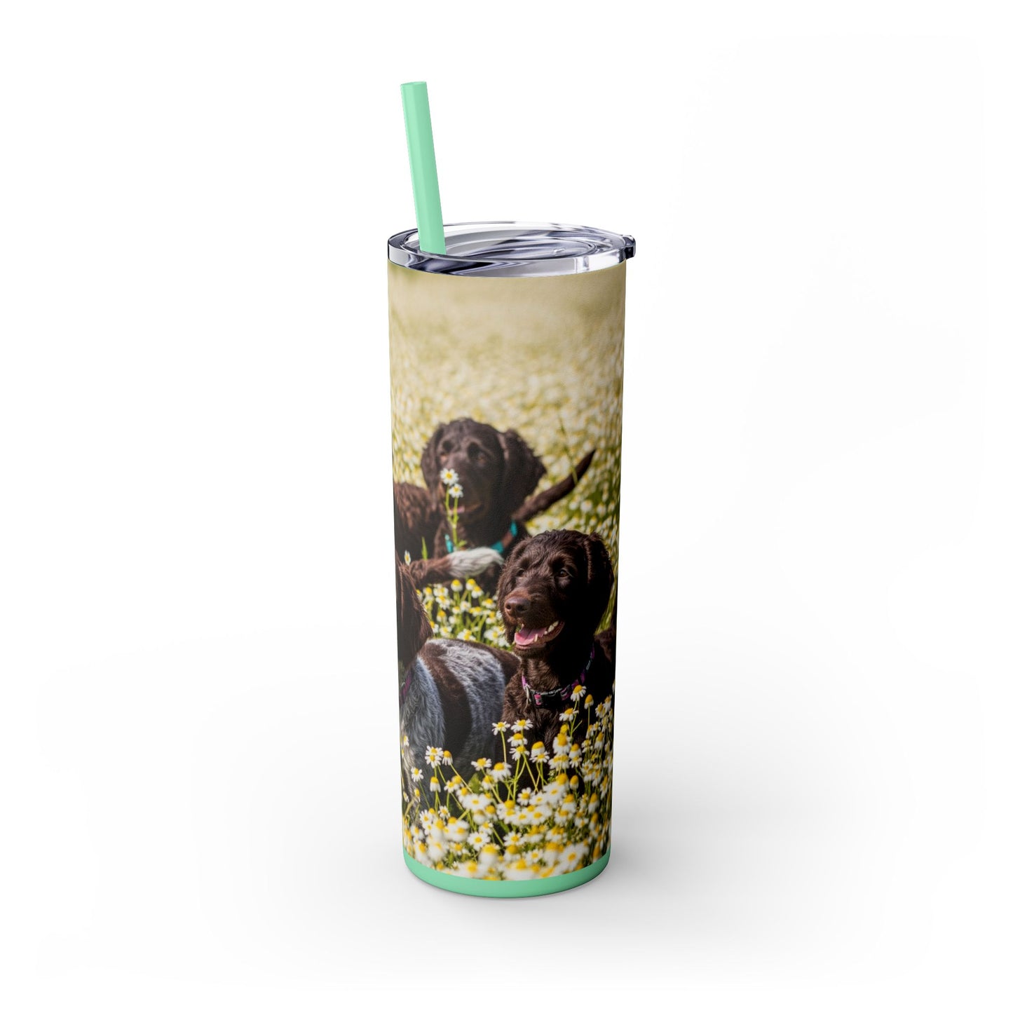 Pudelpointer Tumbler with Straw, 20oz