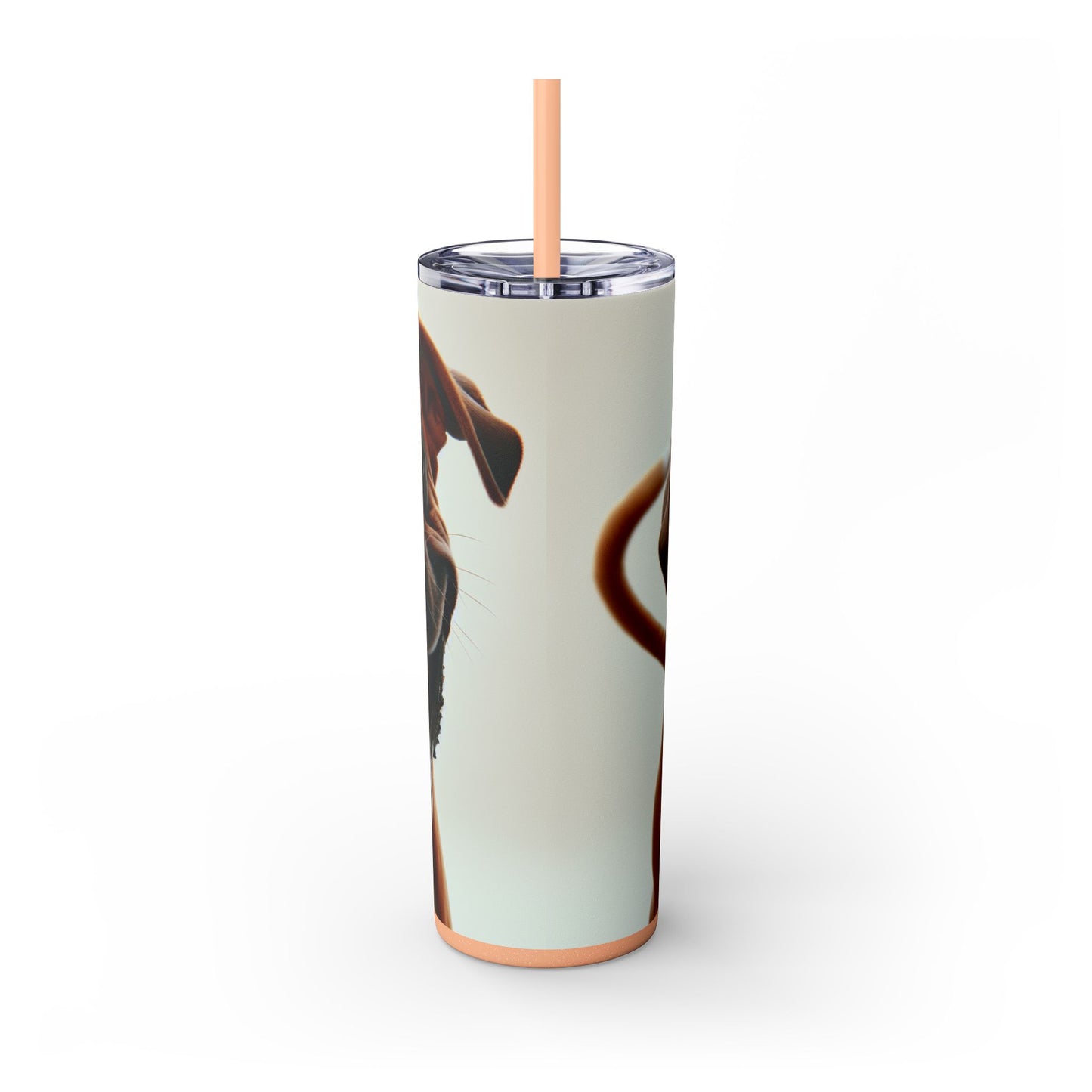 Boxer Skinny Tumbler with Straw, 20oz