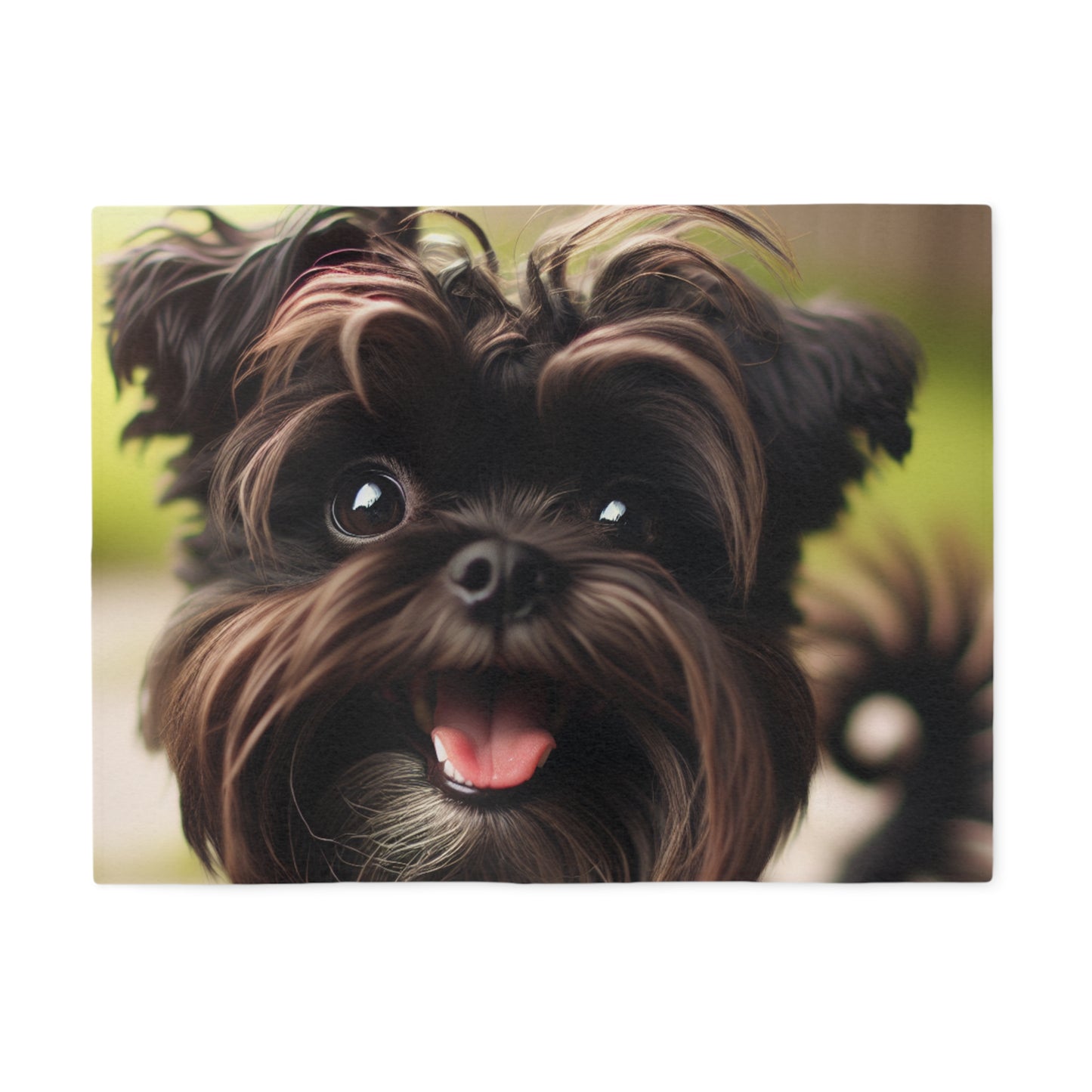 Affenpinscher Sweatshirt Blanket