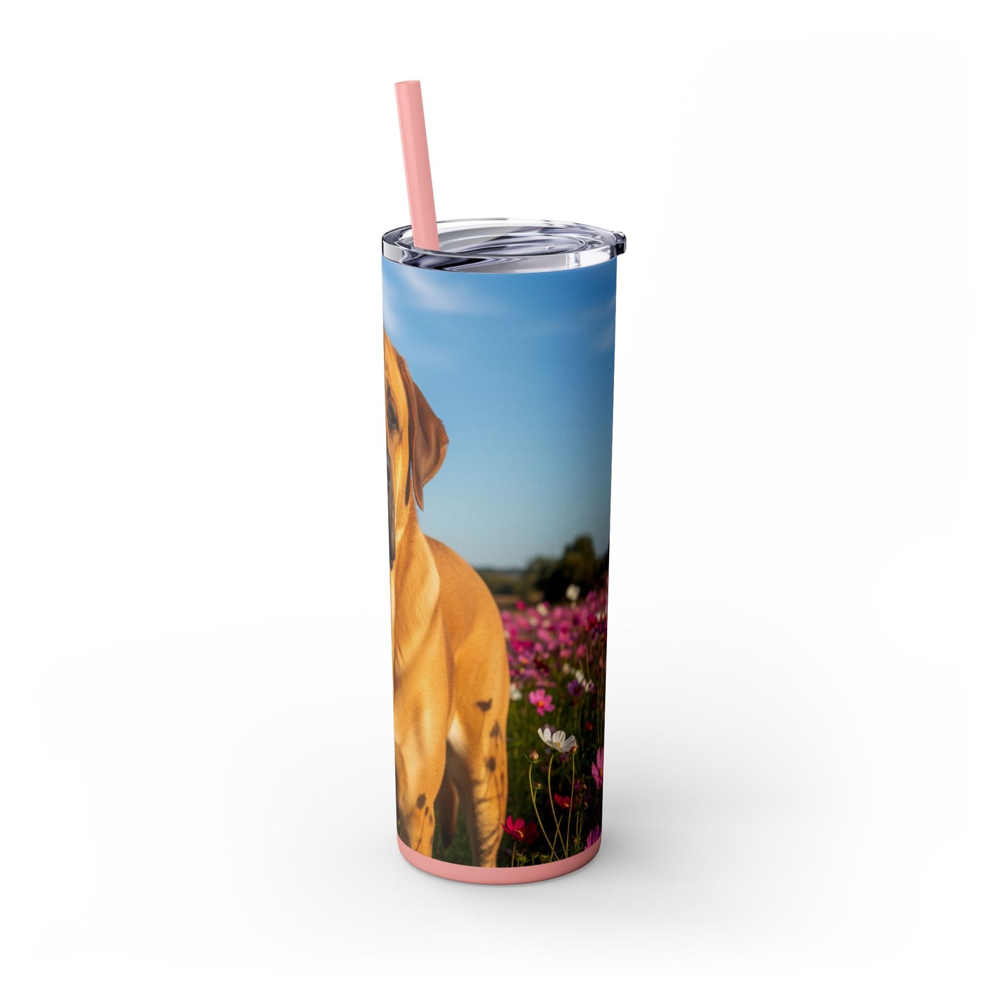 Spanish Mastiff Skinny Tumbler with Straw, 20oz