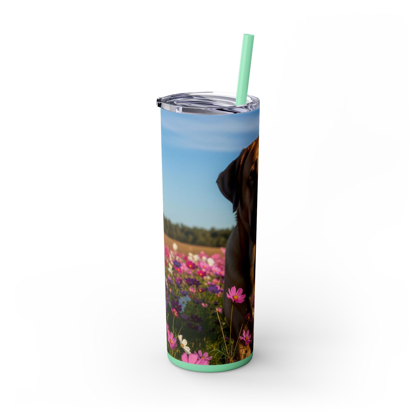 Spanish Mastiff Skinny Tumbler with Straw, 20oz