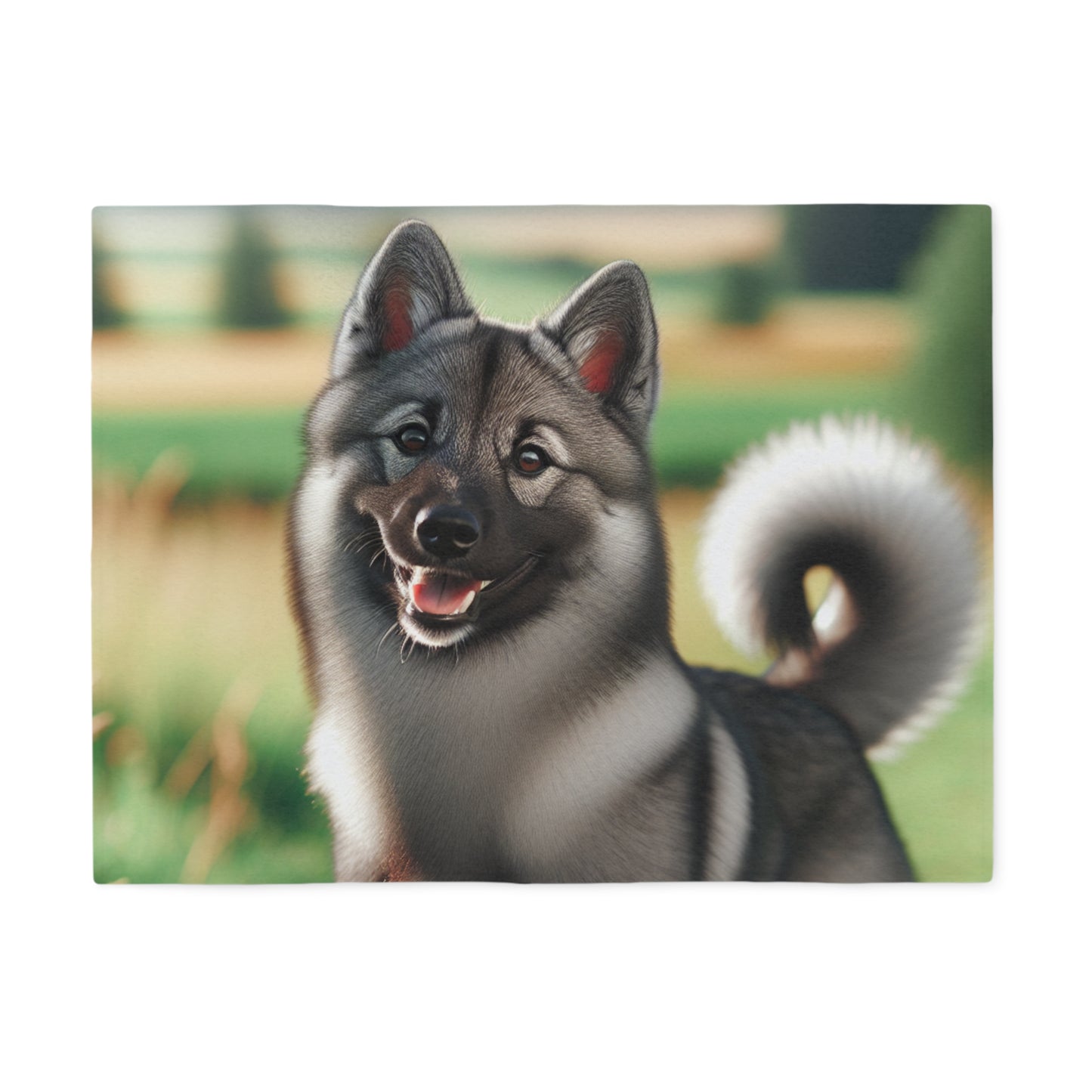 Norwegian Elkhound Sweatshirt Blanket