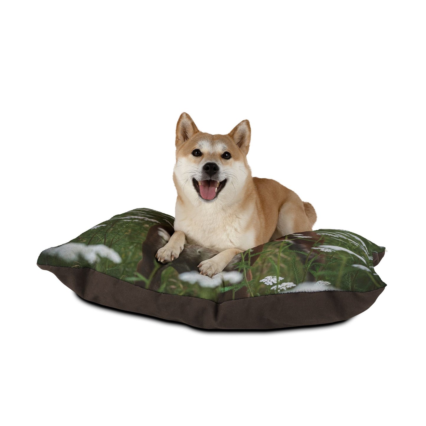 Braque du Bourbonnais Pet Bed