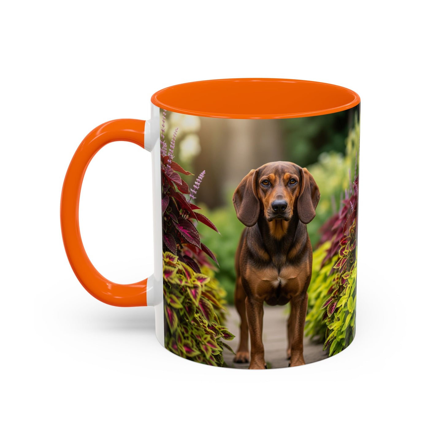 Hamiltonstovare Accent Coffee Mug - Perfect Gift for Dog Lovers