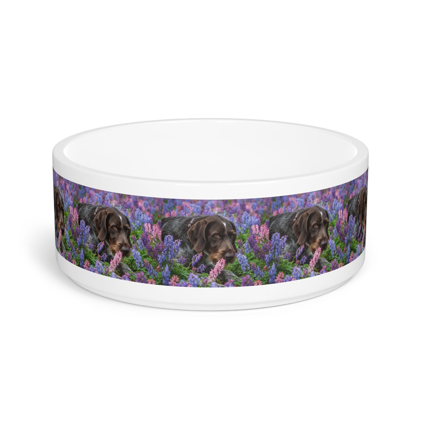 Wirehaired Slovakian Pointer Pet Bowl