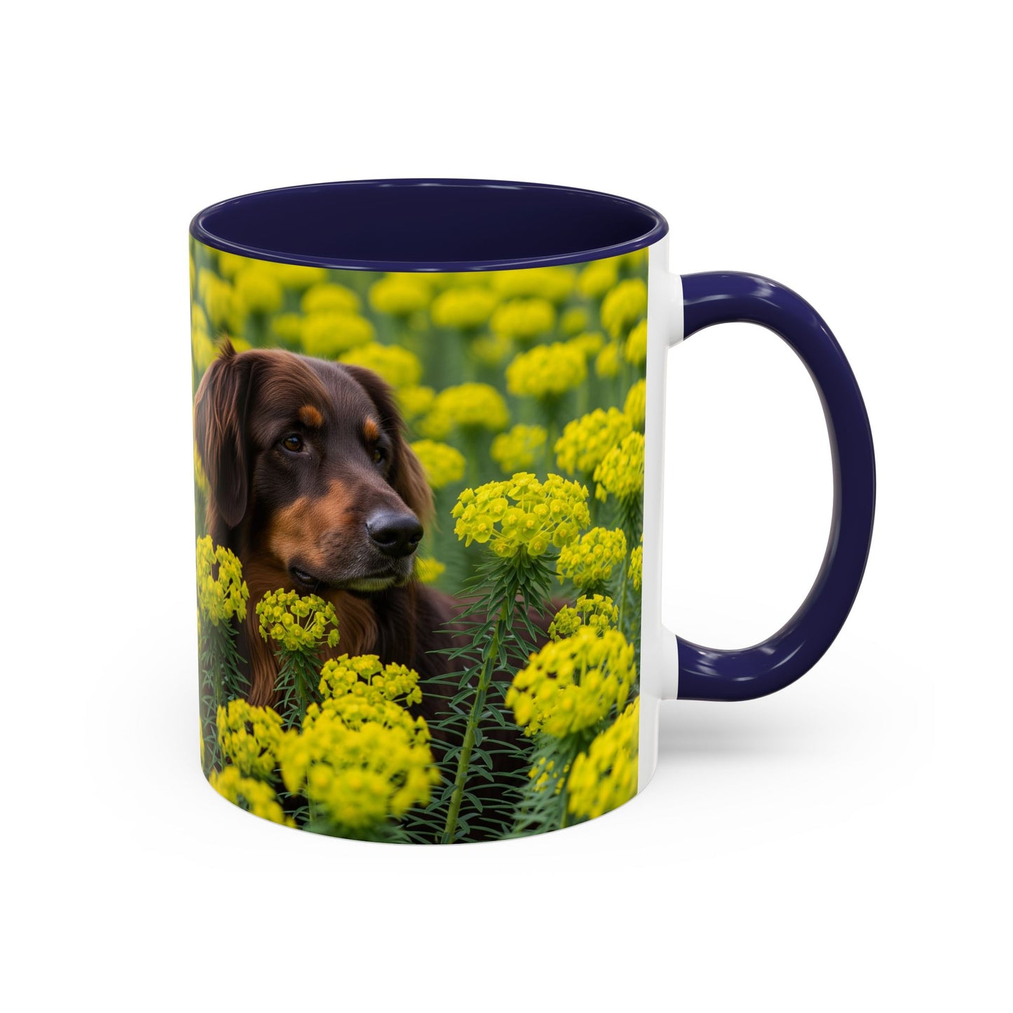 Hovawart Accent Coffee Mug - Perfect Gift for Dog Lovers