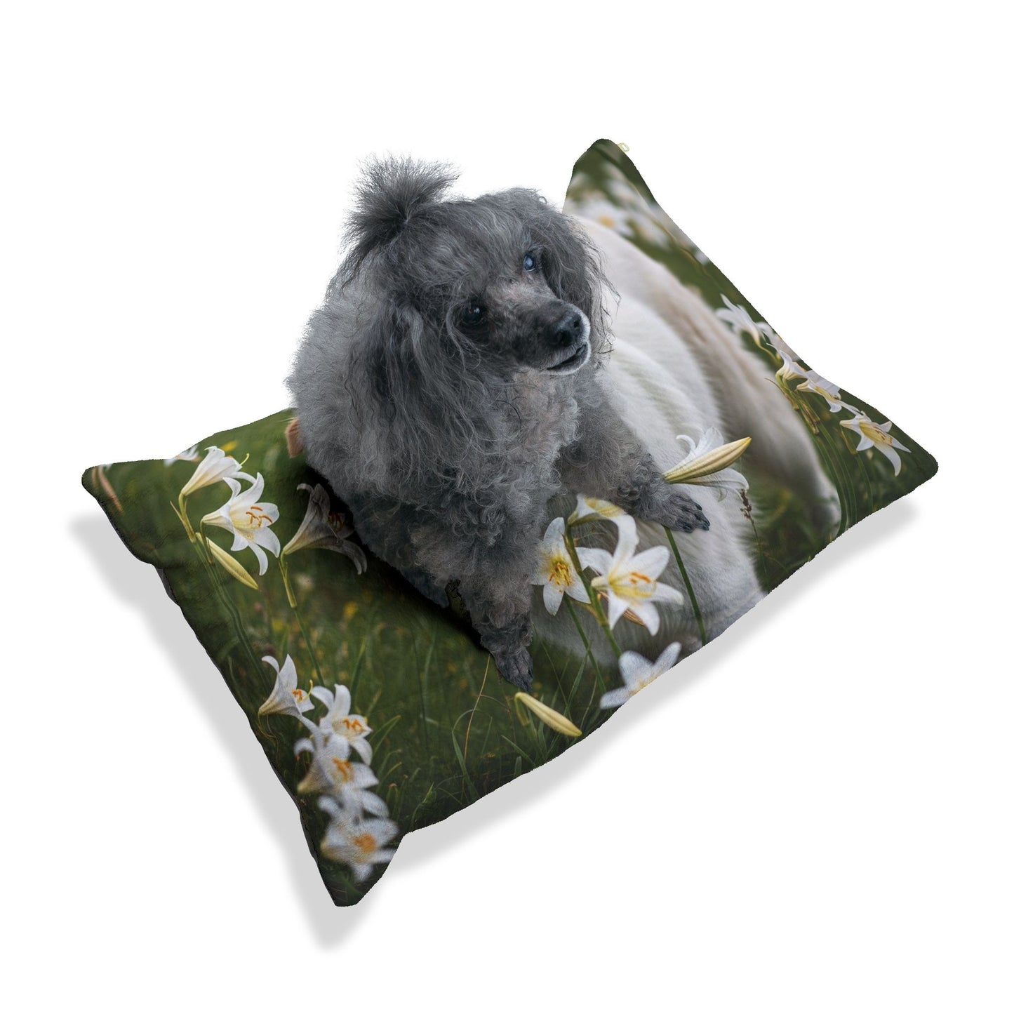 Pyrenean Shepherd Pet Bed