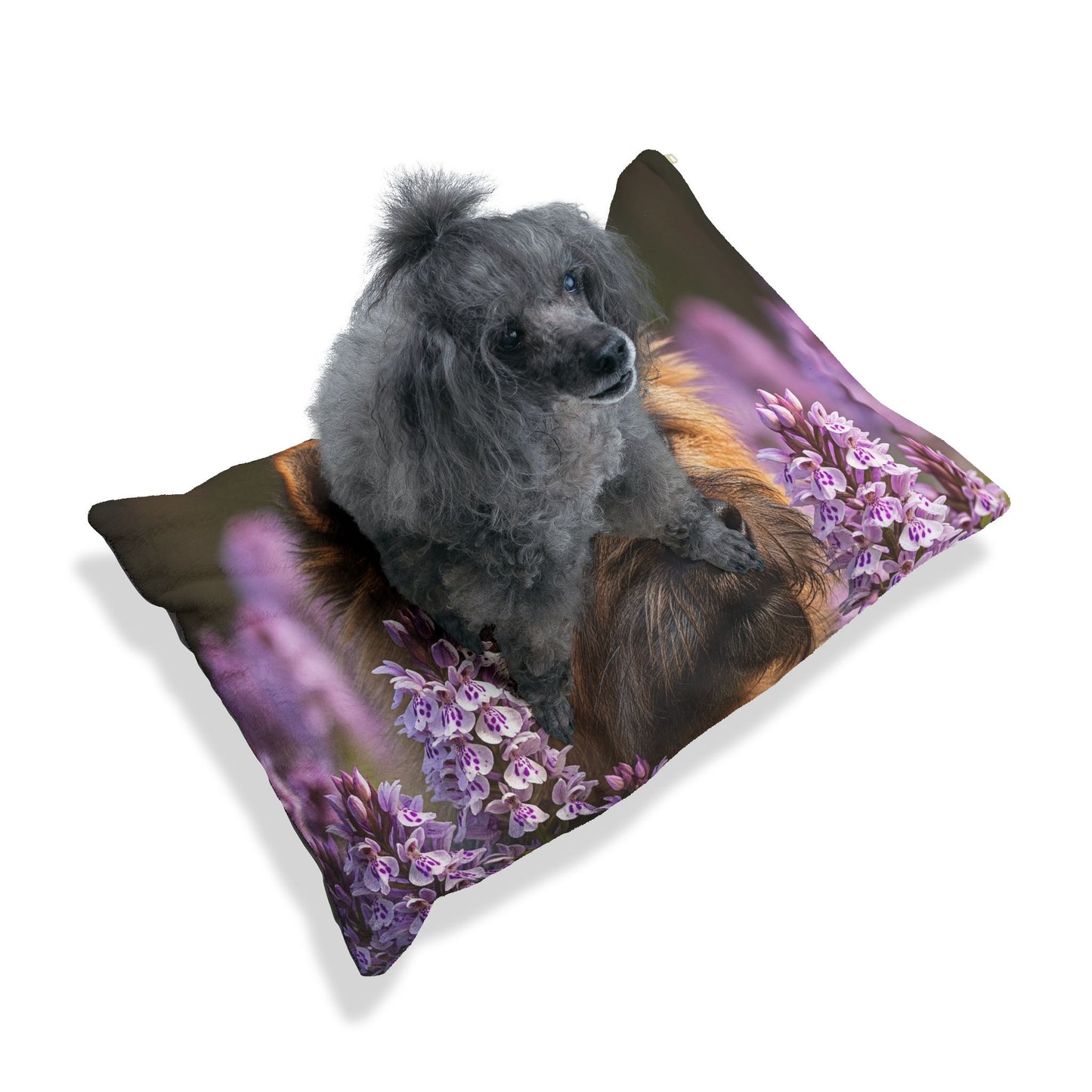 Cairn Terrier Pet Bed