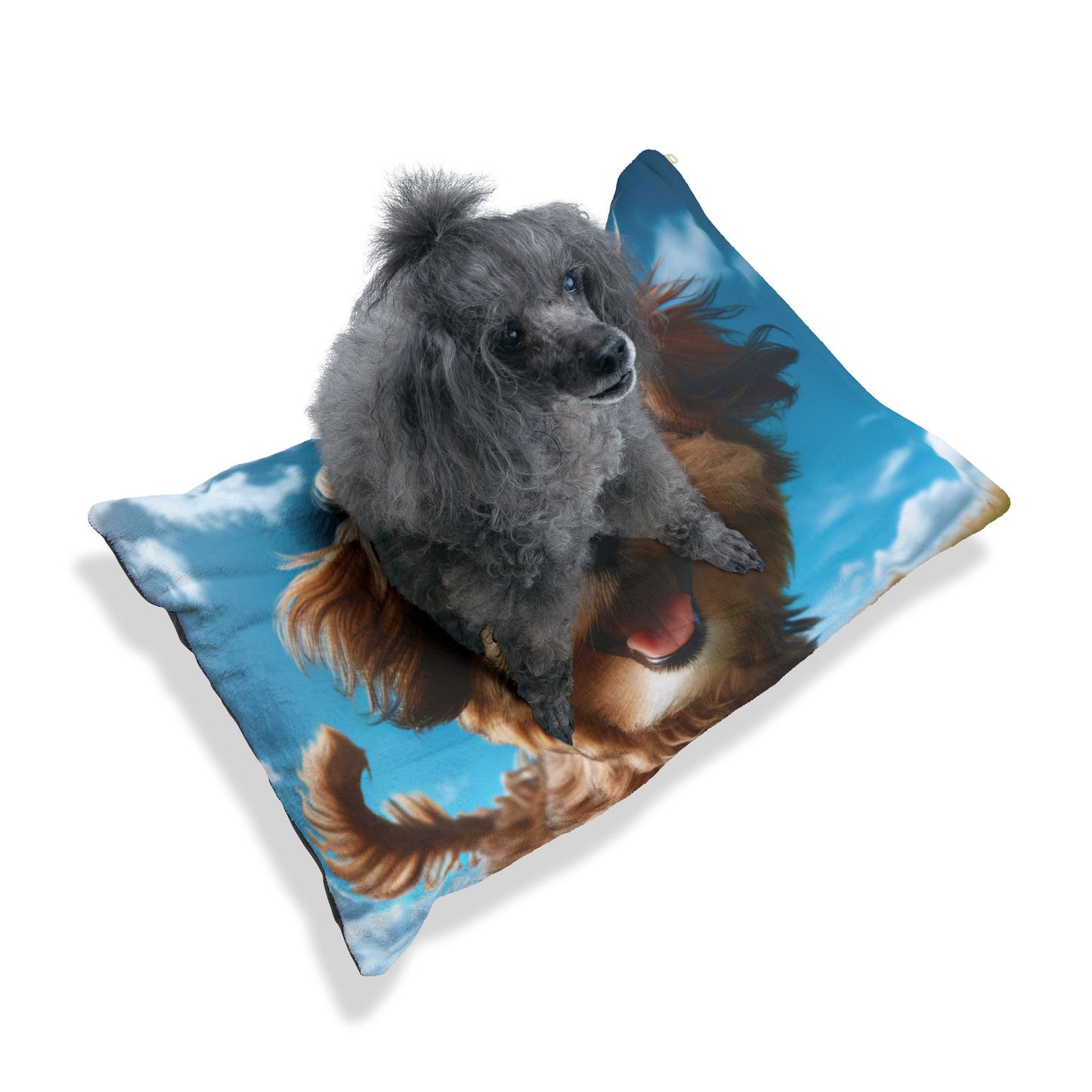 Kaikadi Pet Bed