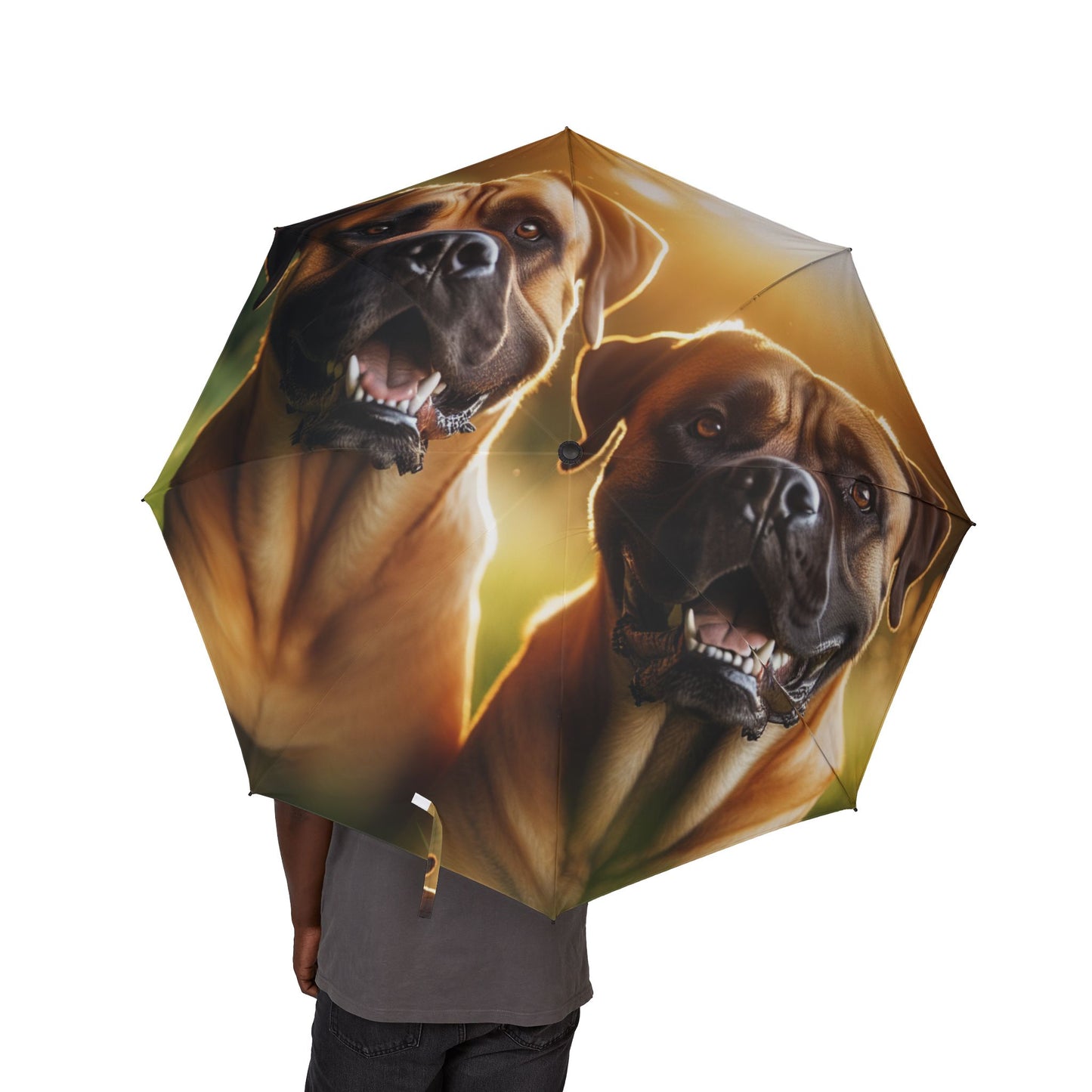 Boerboels Semi-Automatic Foldable Umbrella