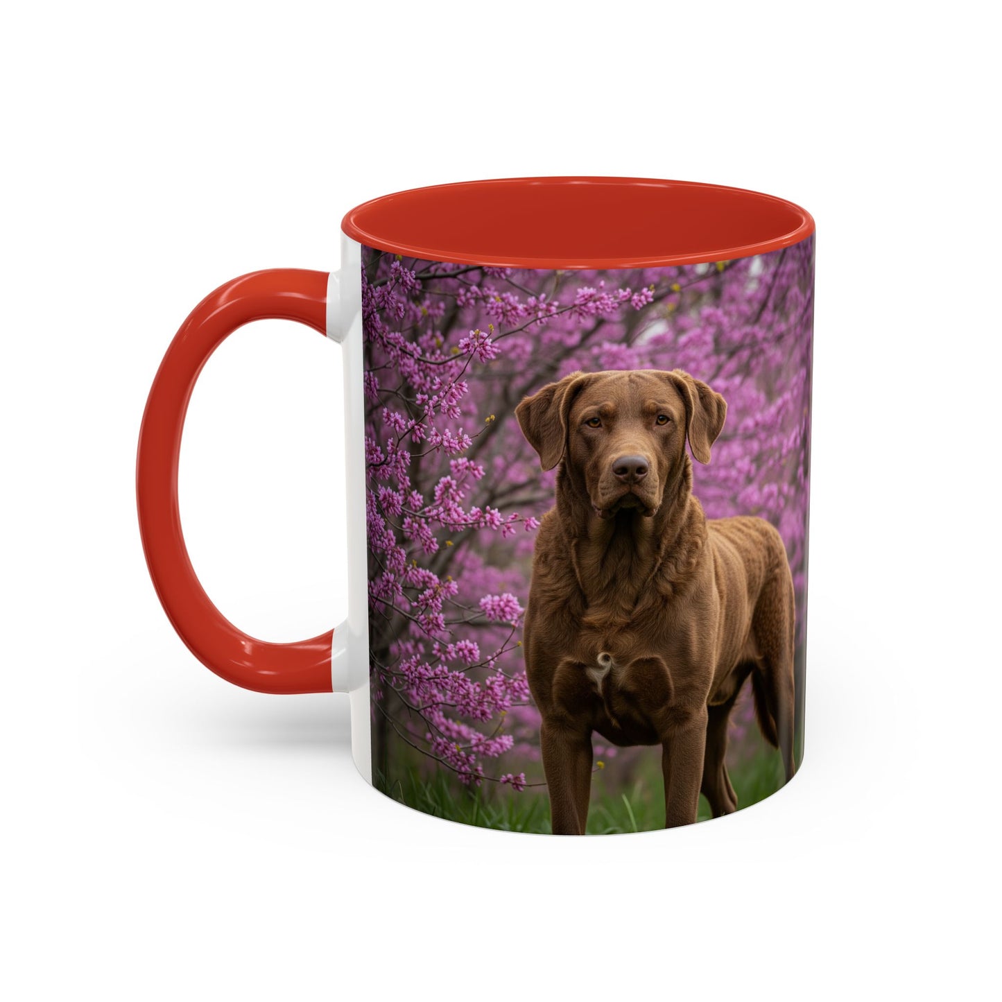 Chesapeake Bay Retriever Accent Coffee Mug - Perfect Gift for Dog Lovers
