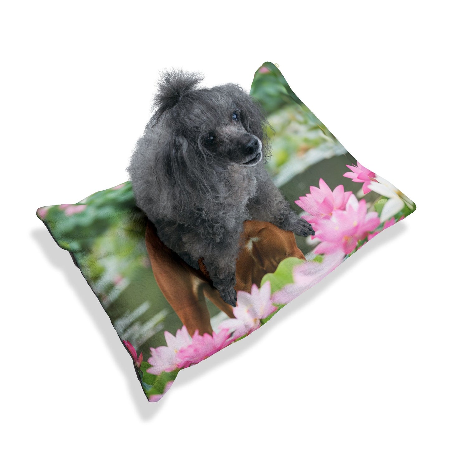 Tosa Pet Bed