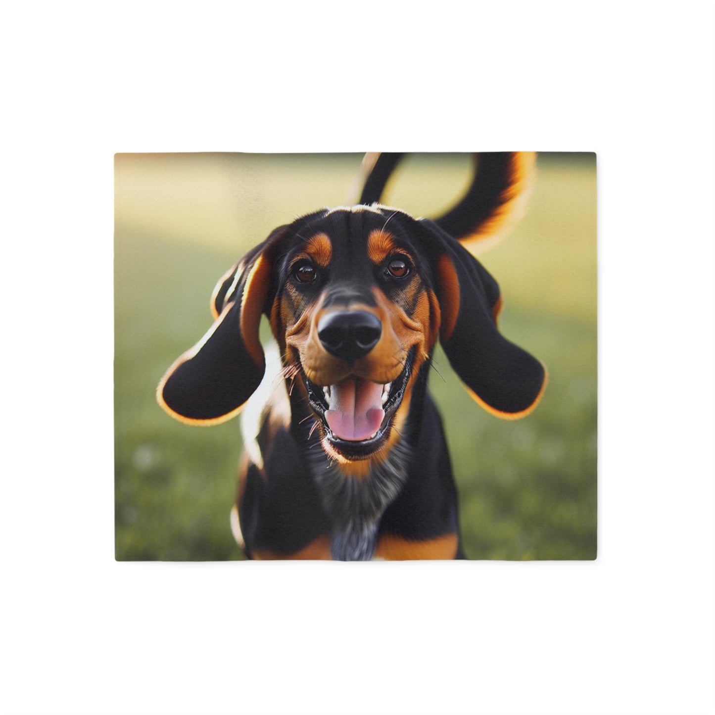 Black and Tan Coonhound Sweatshirt Blanket