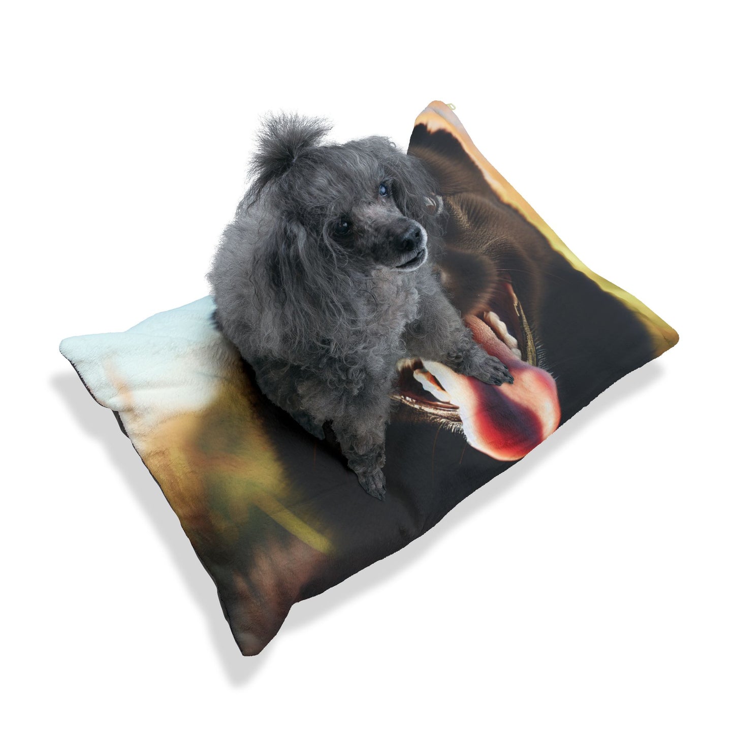 Schipperke Pet Bed