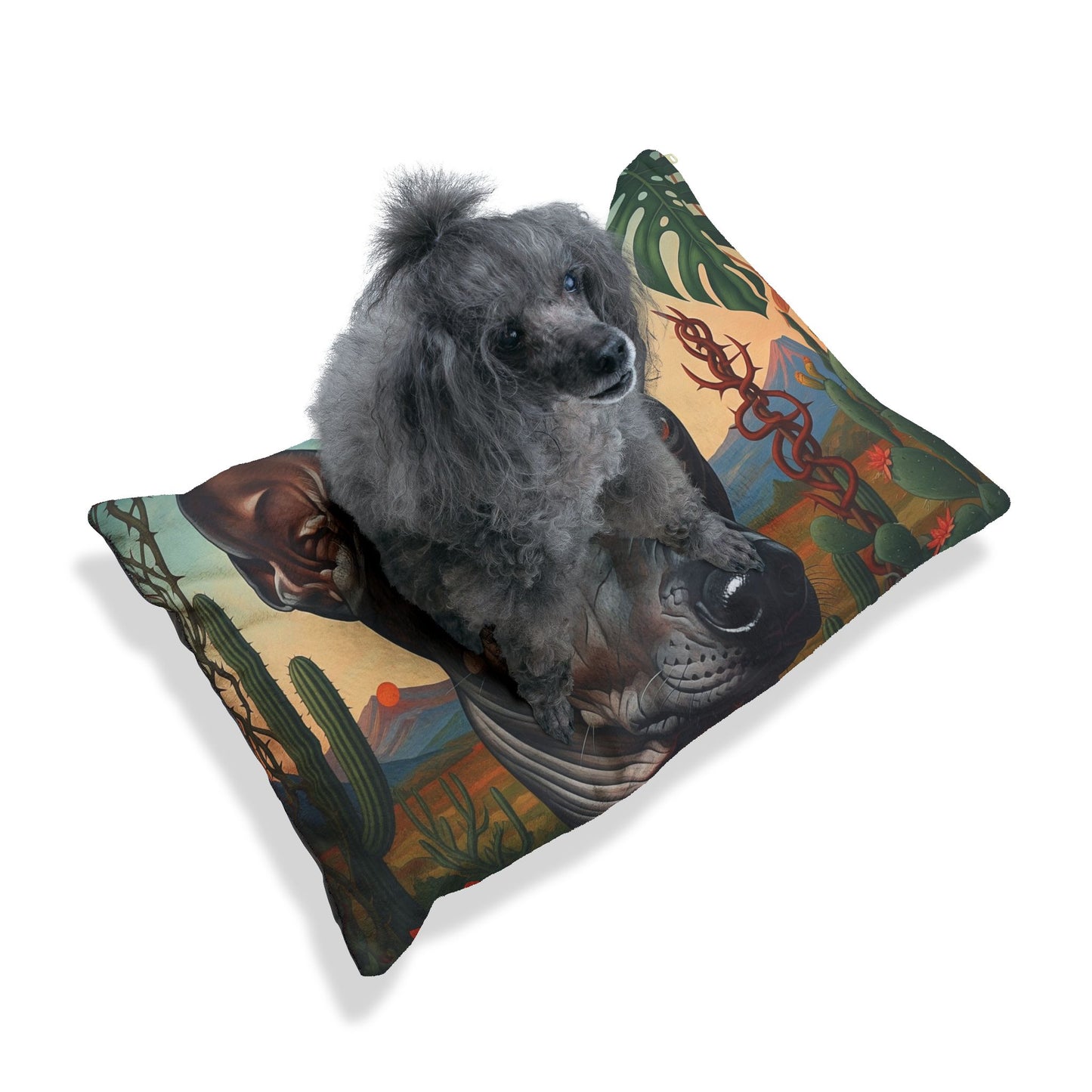 Xoloitzcuintli Pet Bed