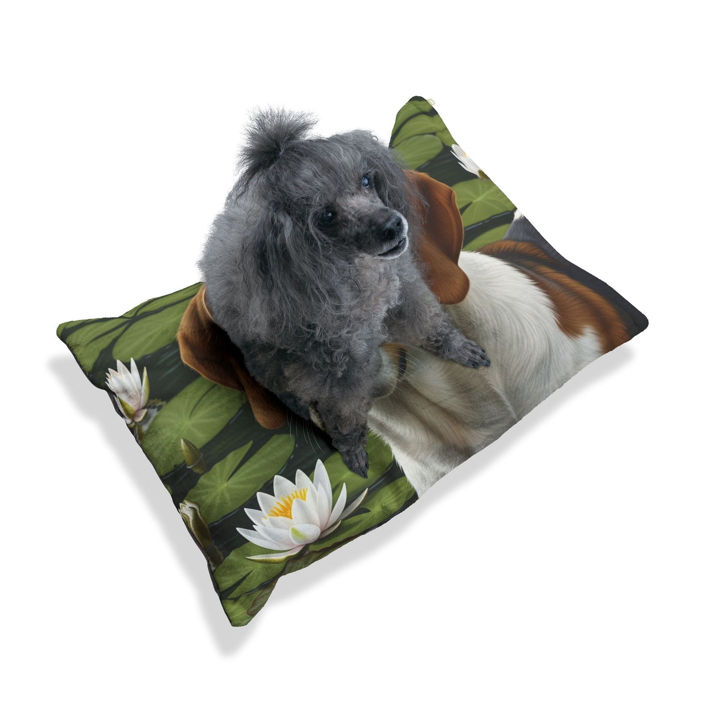 Harrier Pet Bed