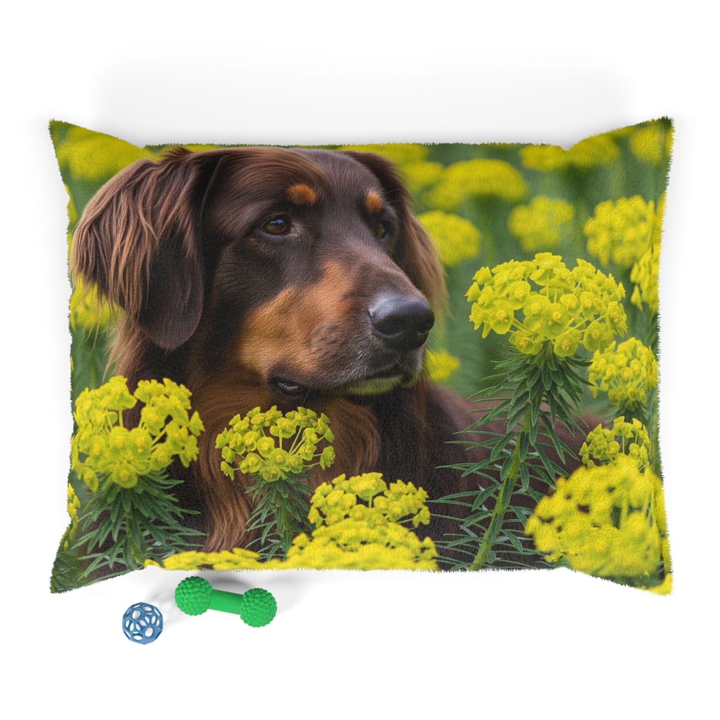 Hovawart Pet Bed