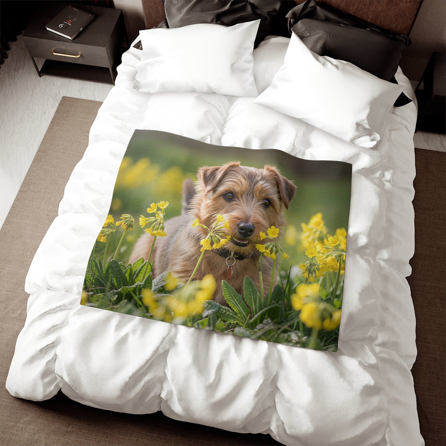 Norfolk Terrier Sweatshirt Blanket