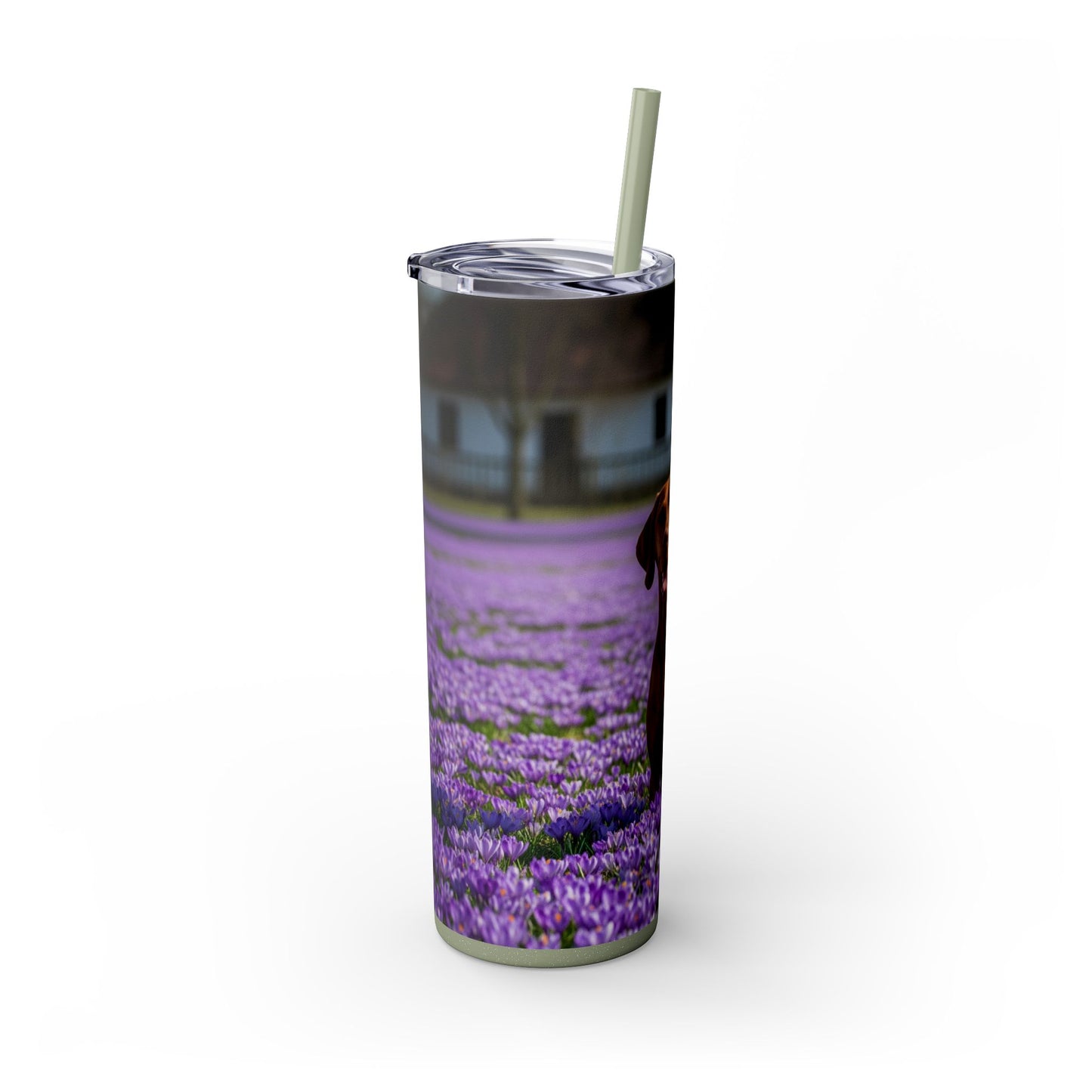 Vizsla Tumbler with Straw, 20oz