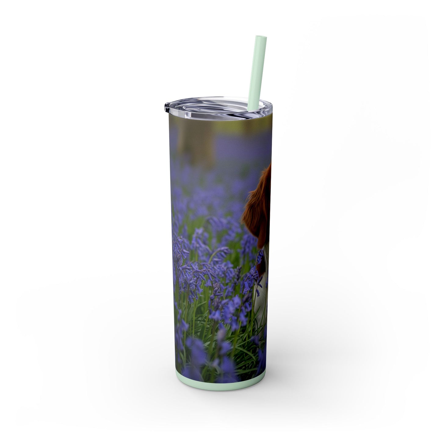 Welsh Springer Spaniel Skinny Tumbler with Straw, 20oz
