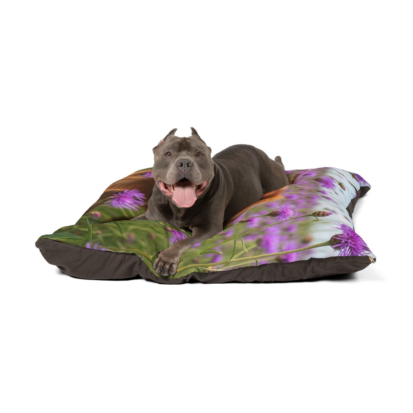 English Toy Spaniel Pet Bed