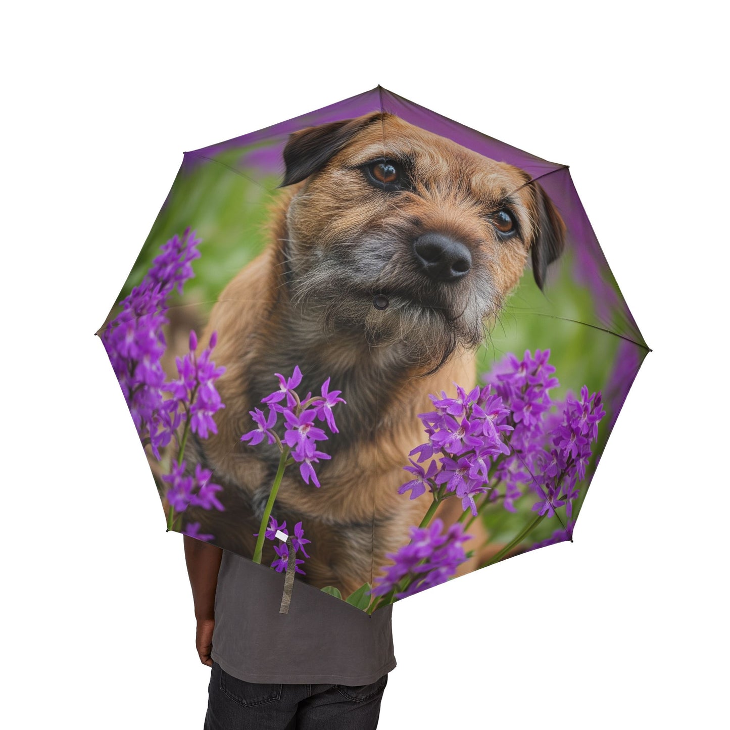 Border Terrier Semi-Automatic Foldable Umbrella