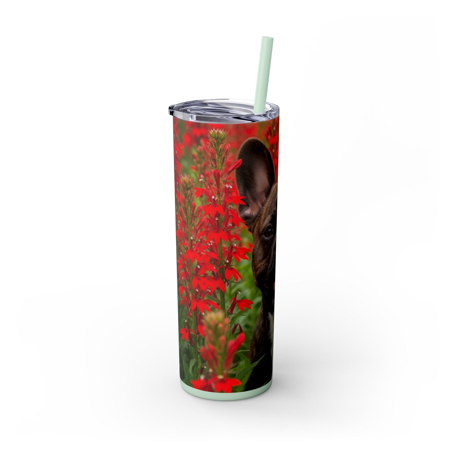 Frenchton Tumbler with Straw, 20oz