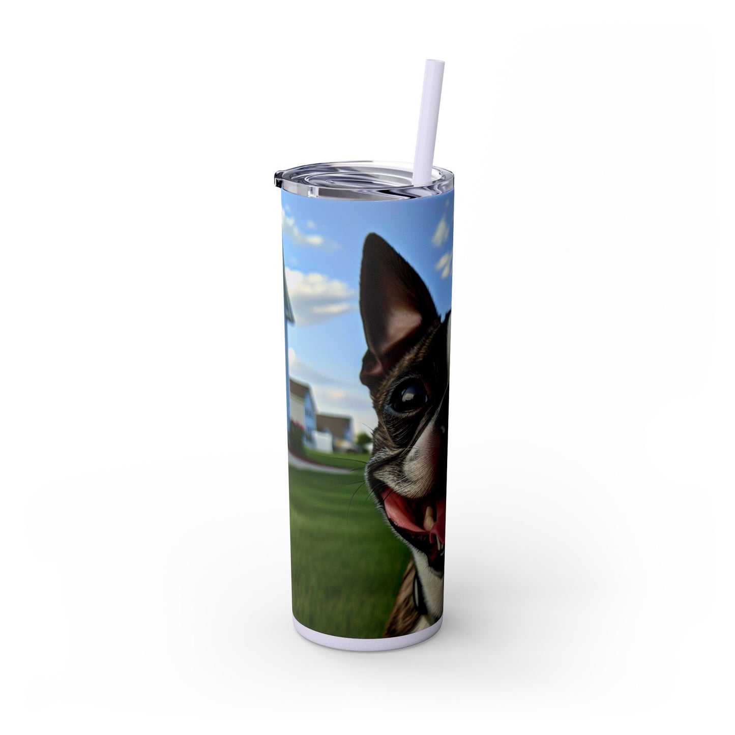 Boston Terrier Tumbler with Straw, 20oz