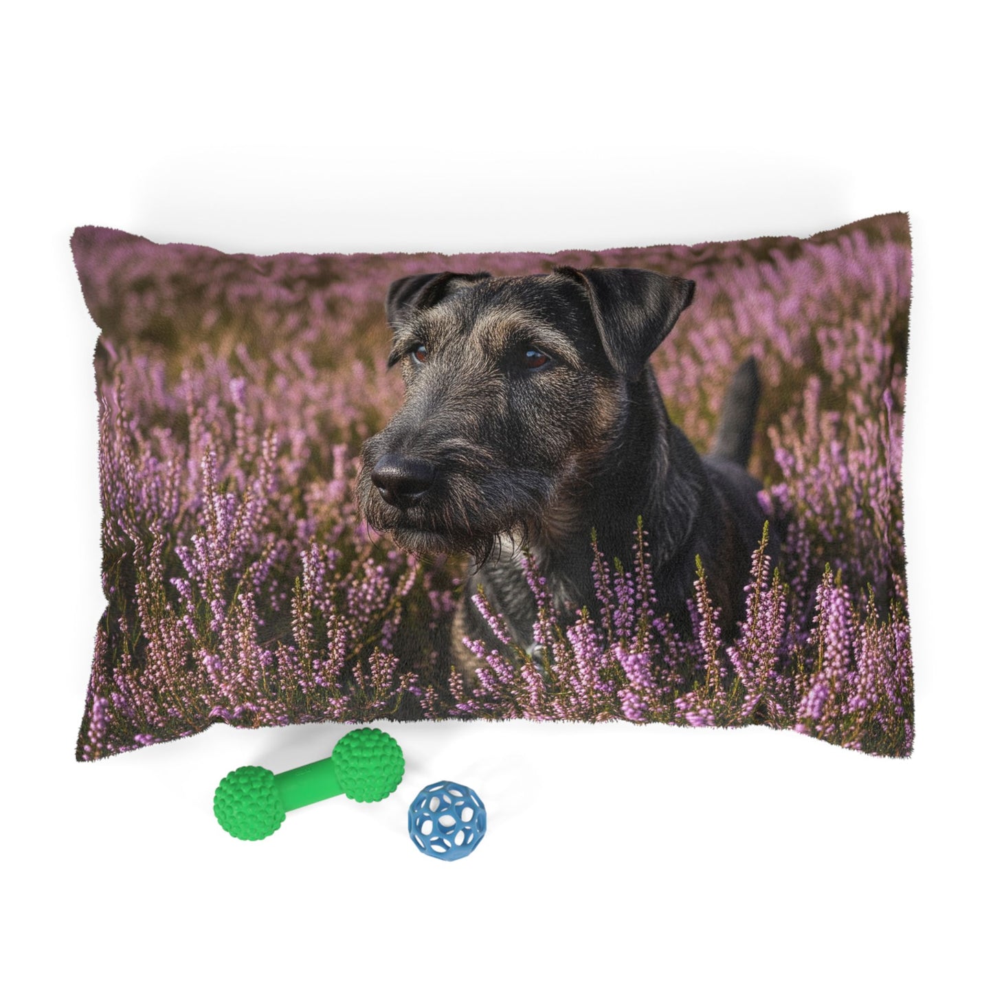 Glen of Imaal Terrier Pet Bed