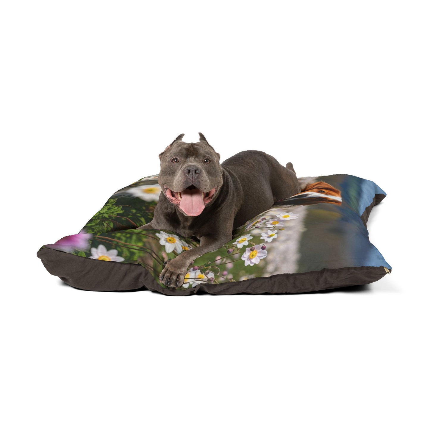 Nederlandse Kooikerhondje Pet Bed