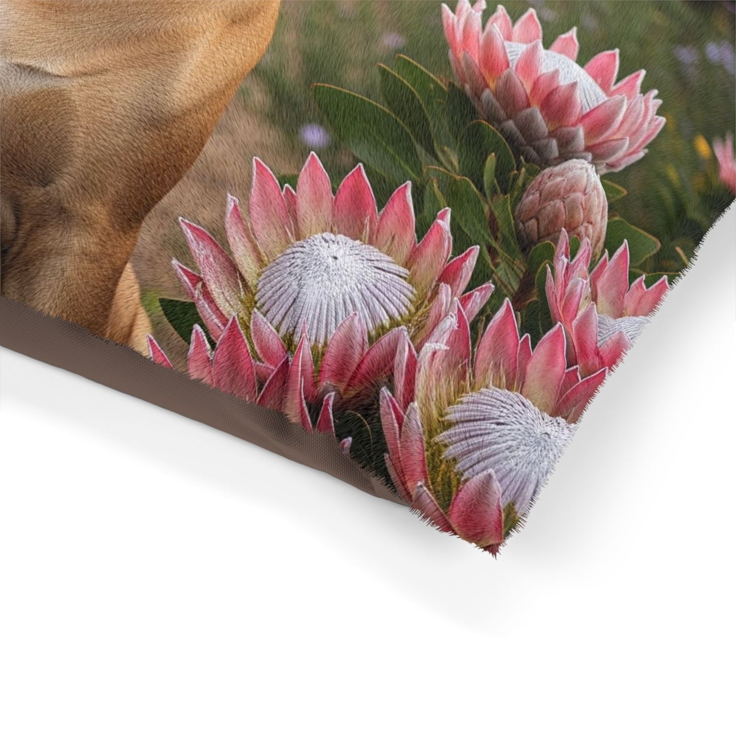 Boerboels Pet Bed