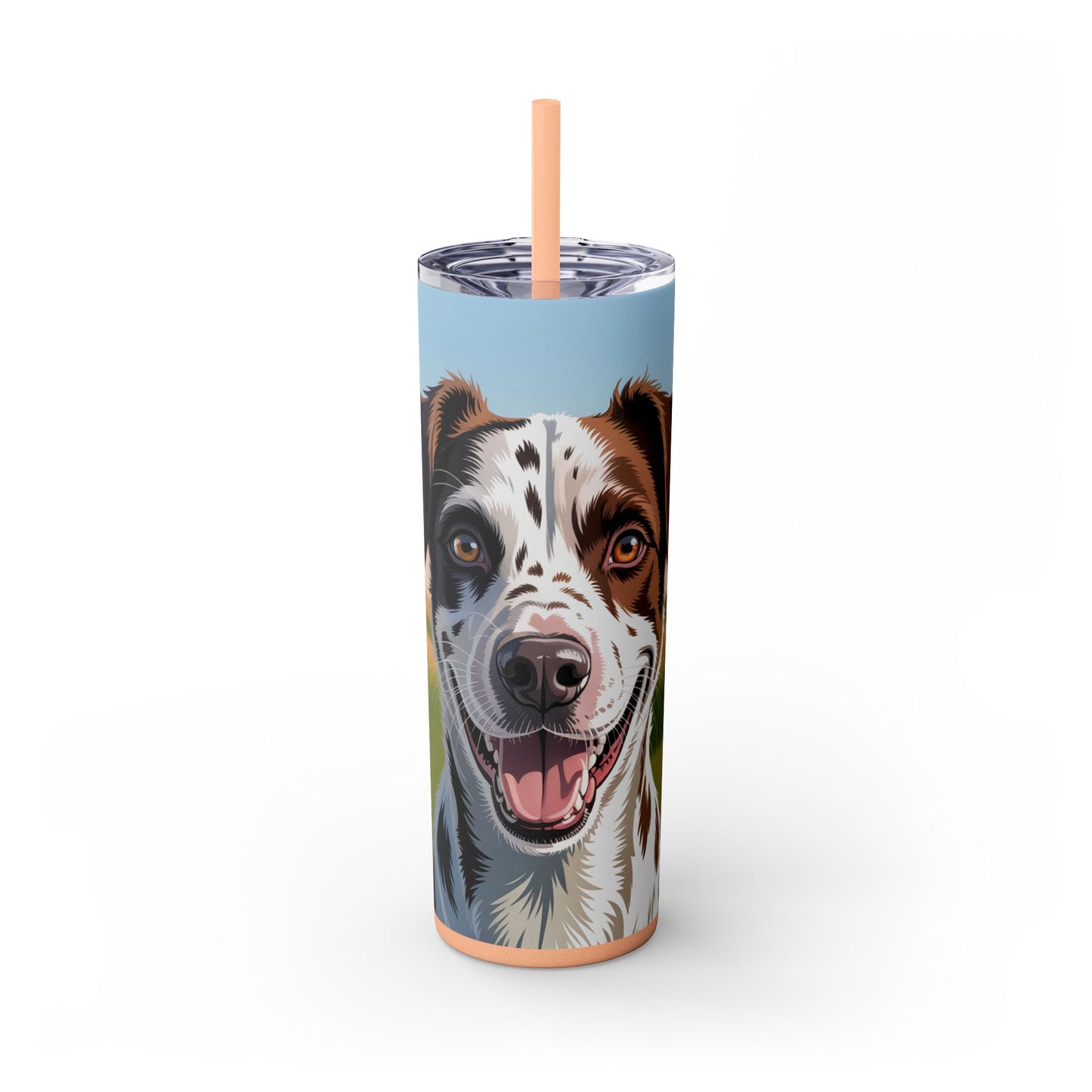 Telomian Skinny Tumbler with Straw, 20oz