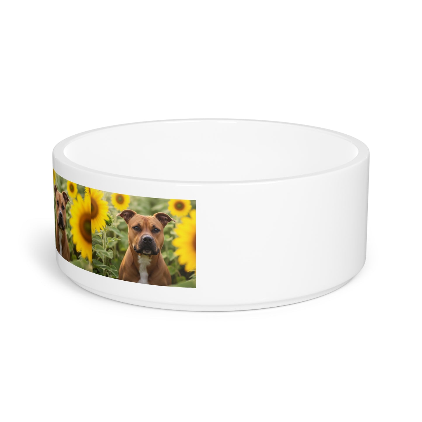 American Staffordshire Terrier Pet Bowl