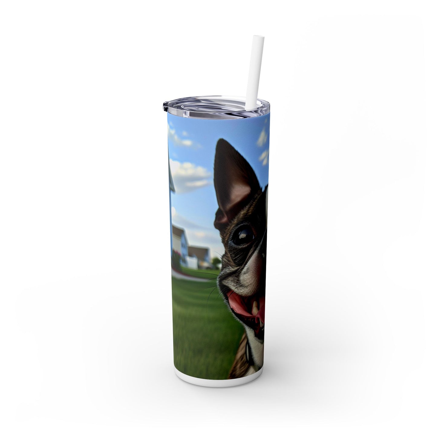 Boston Terrier Tumbler with Straw, 20oz