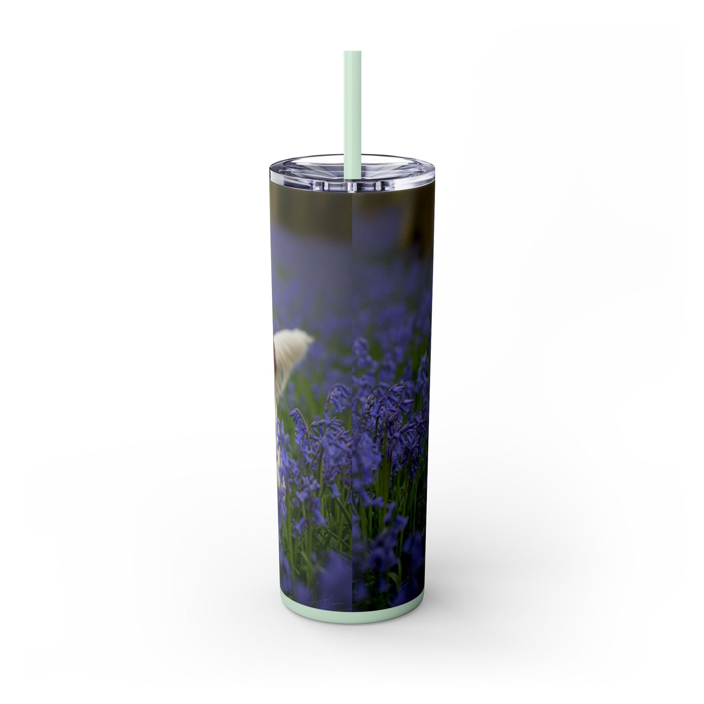 Welsh Springer Spaniel Skinny Tumbler with Straw, 20oz