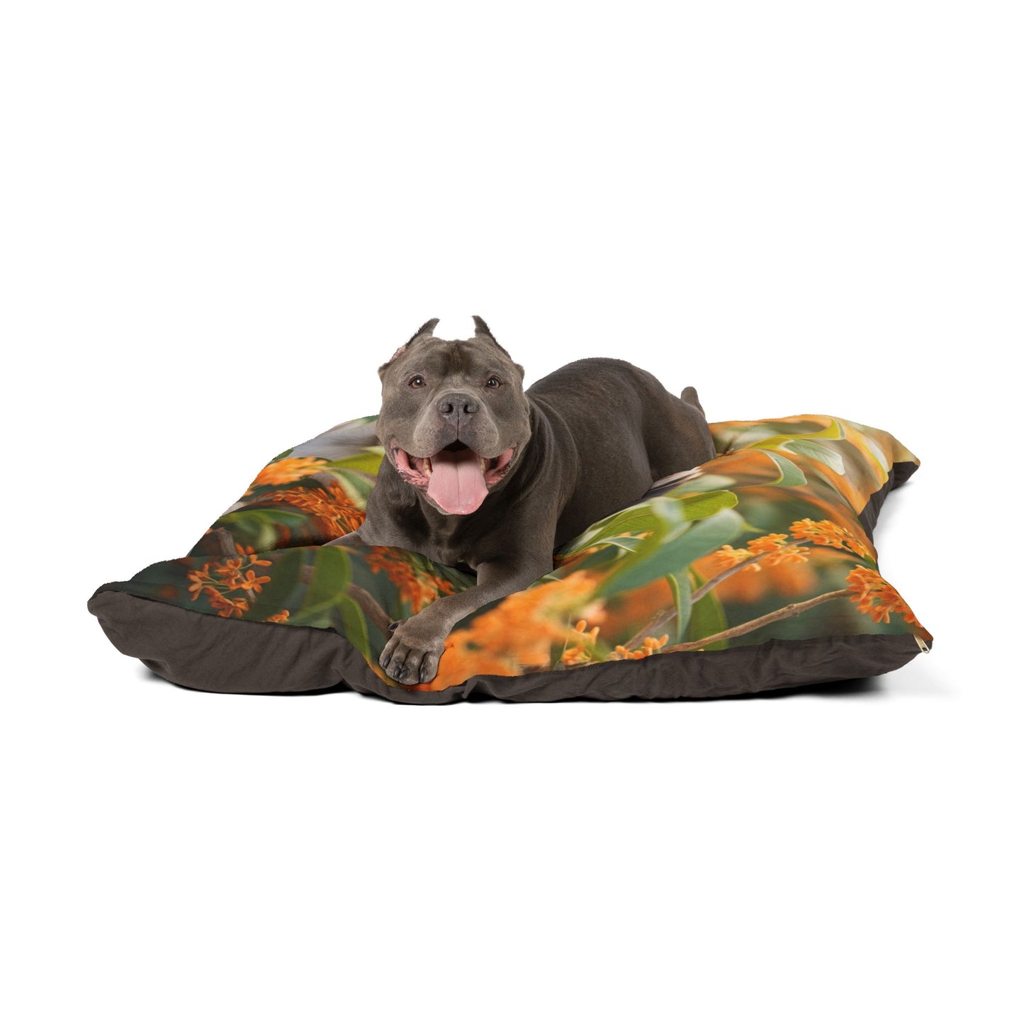 Pug Pet Bed