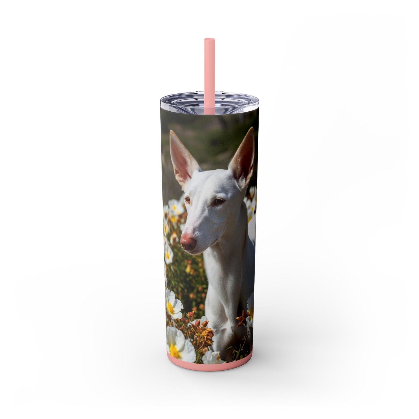 Ibizan Hound Tumbler with Straw, 20oz