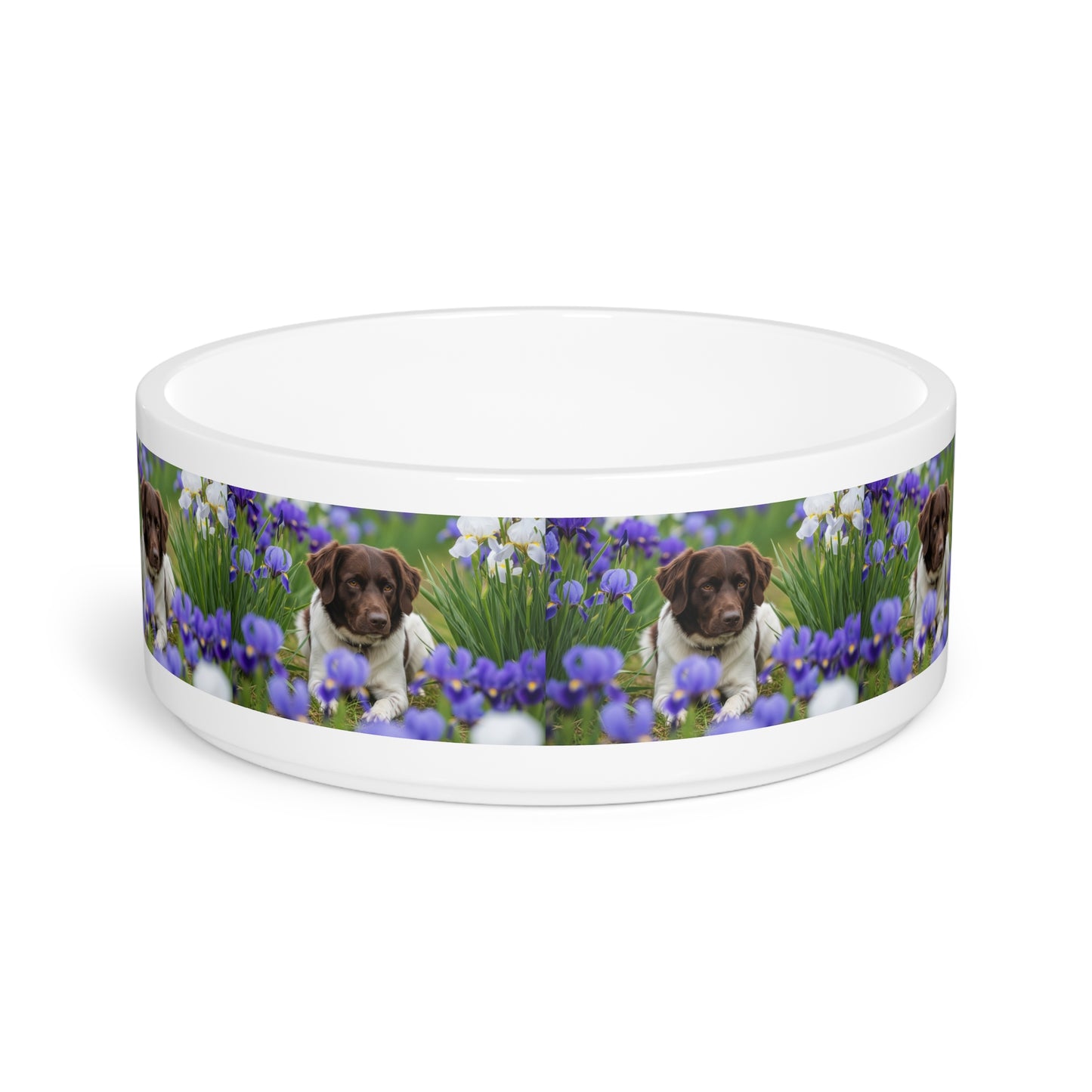 Stabyhouns Pet Bowl