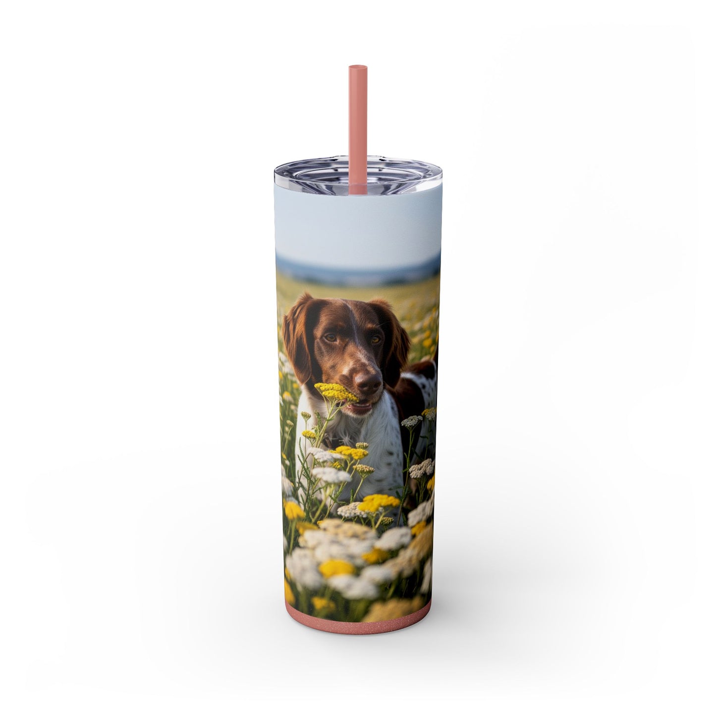 Drentsche Patrijshond Skinny Tumbler with Straw, 20oz