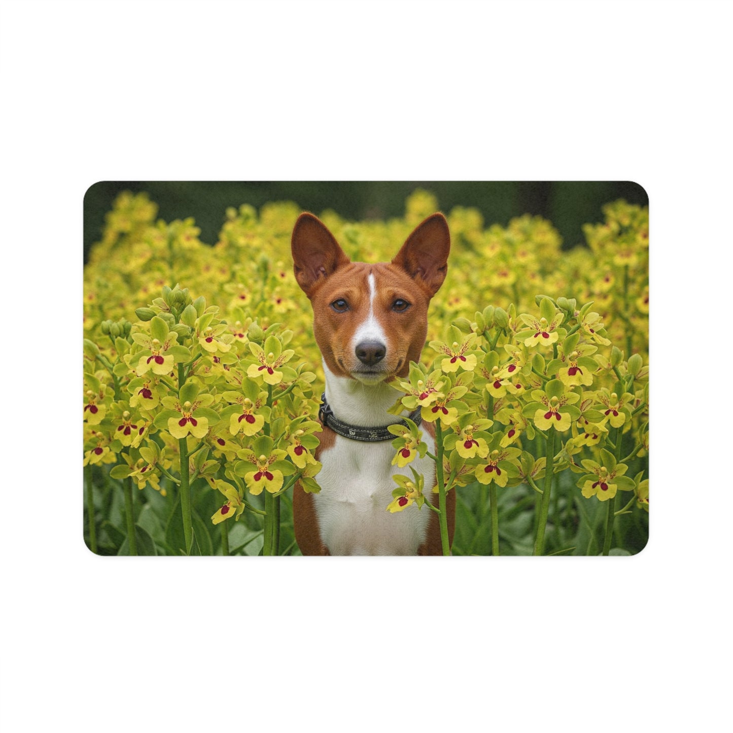 Pet Food Mat (12x18) - Basenji