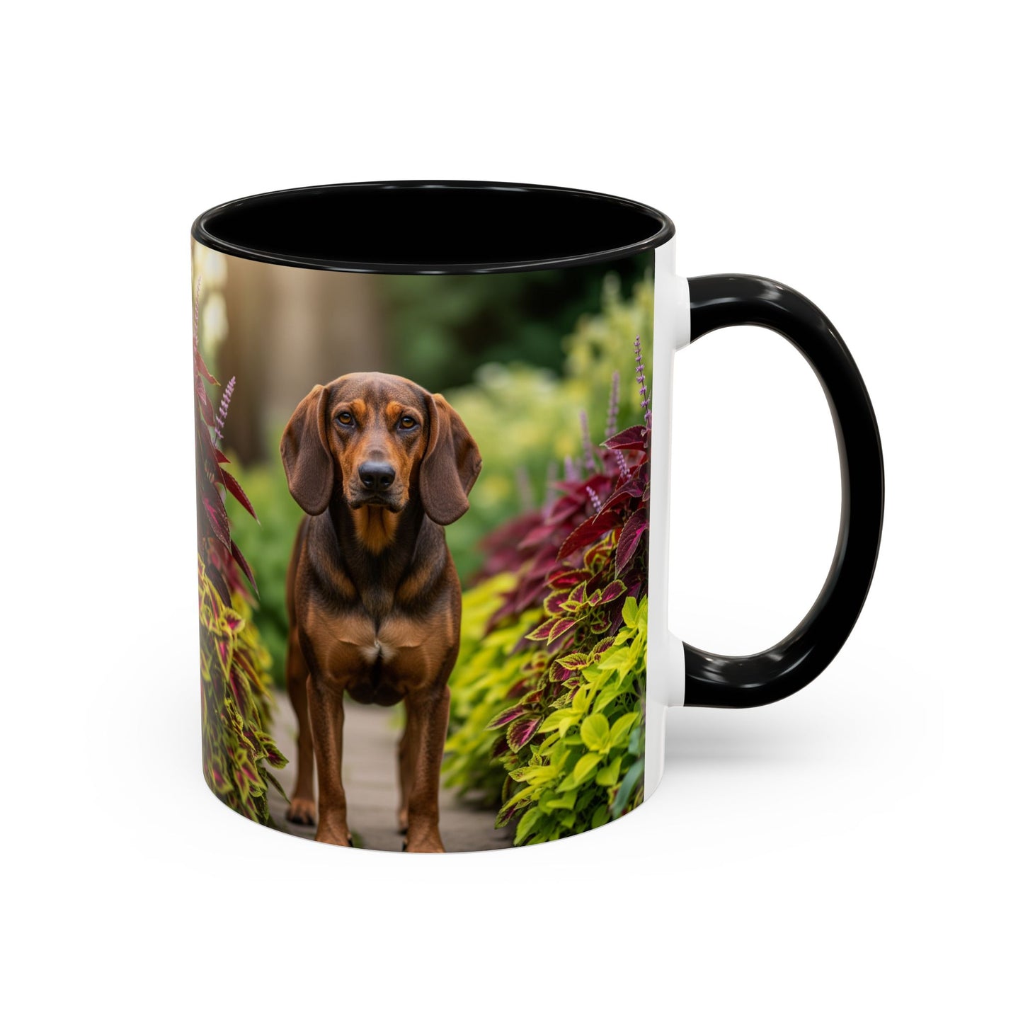 Hamiltonstovare Accent Coffee Mug - Perfect Gift for Dog Lovers