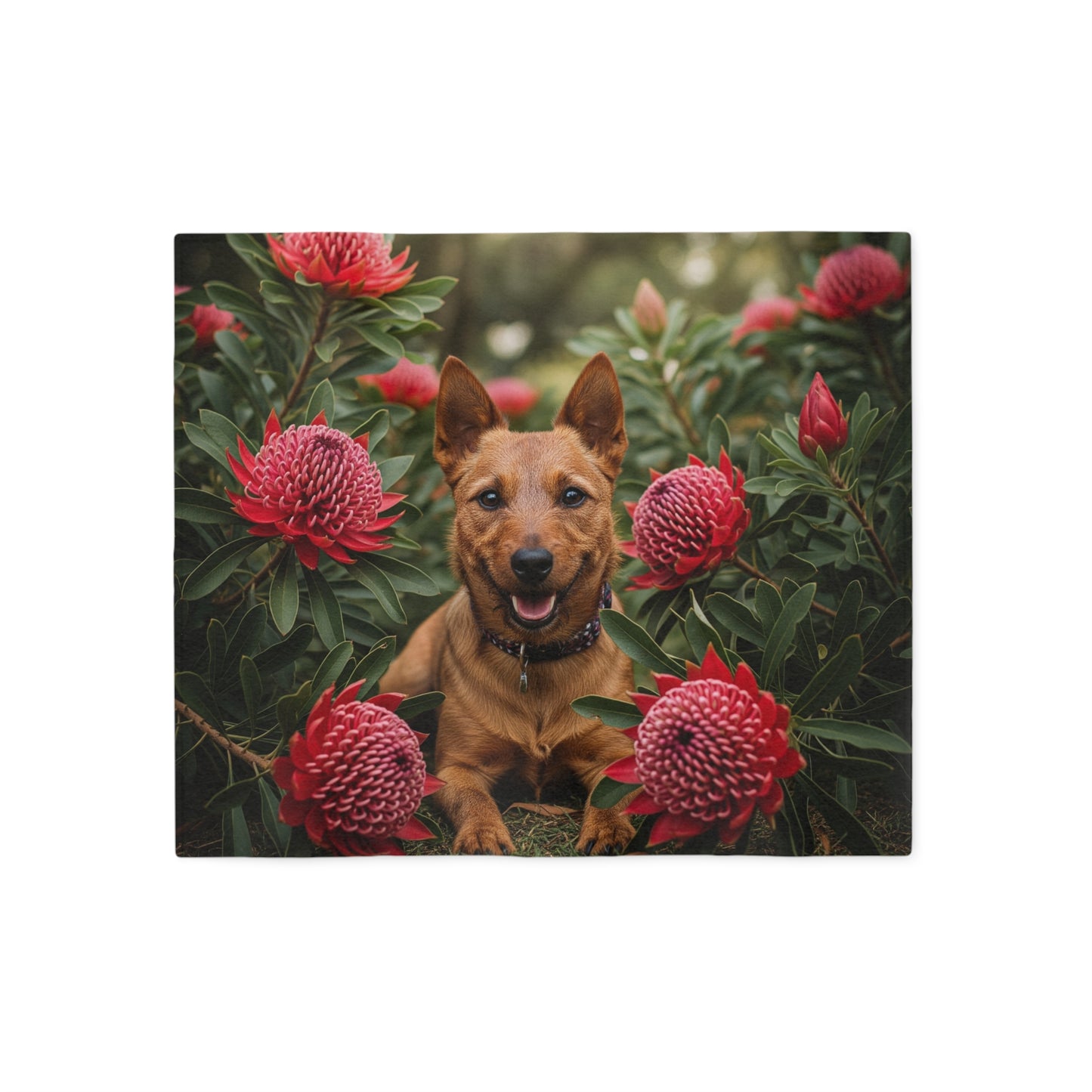 Australian Terrier Sweatshirt Blanket