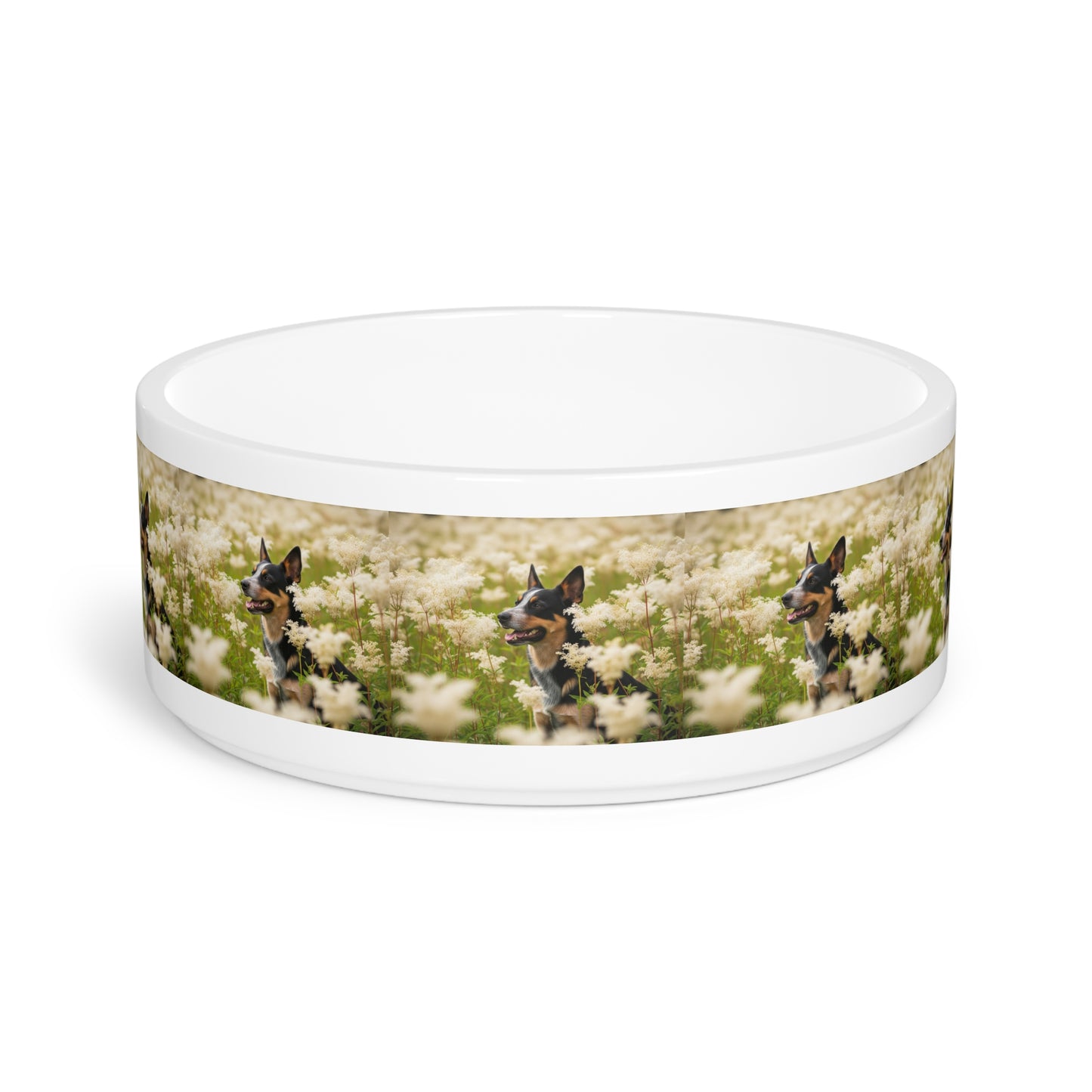 Lancashire Heeler Pet Bowl
