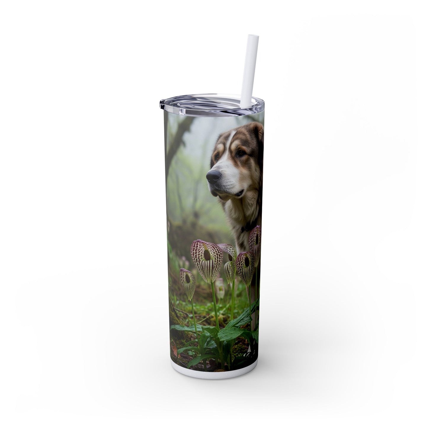 Bakharwal Tumbler with Straw, 20oz