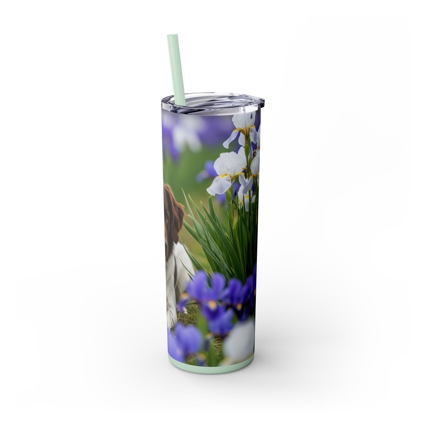 Stabyhouns Tumbler with Straw, 20oz
